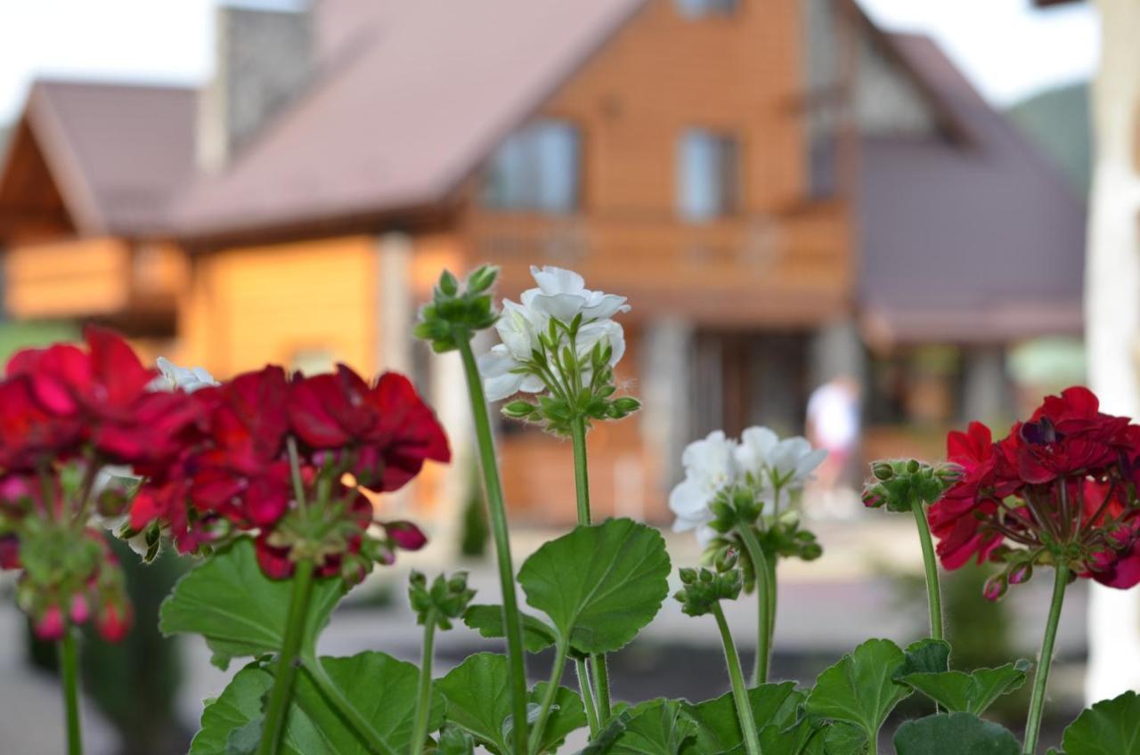 Hotel Sribni Rosy Mykulytschyn Exterior foto